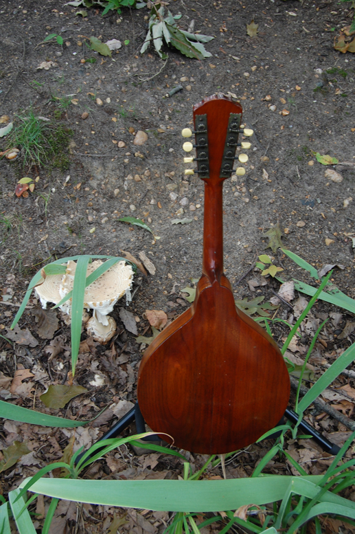 1906 Gibson Mandolin